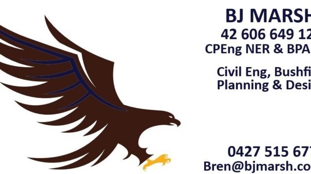 ff 8a08aff8da046137a179b882155aad2d ff 20250327 bj marsh logo hawk 2 1